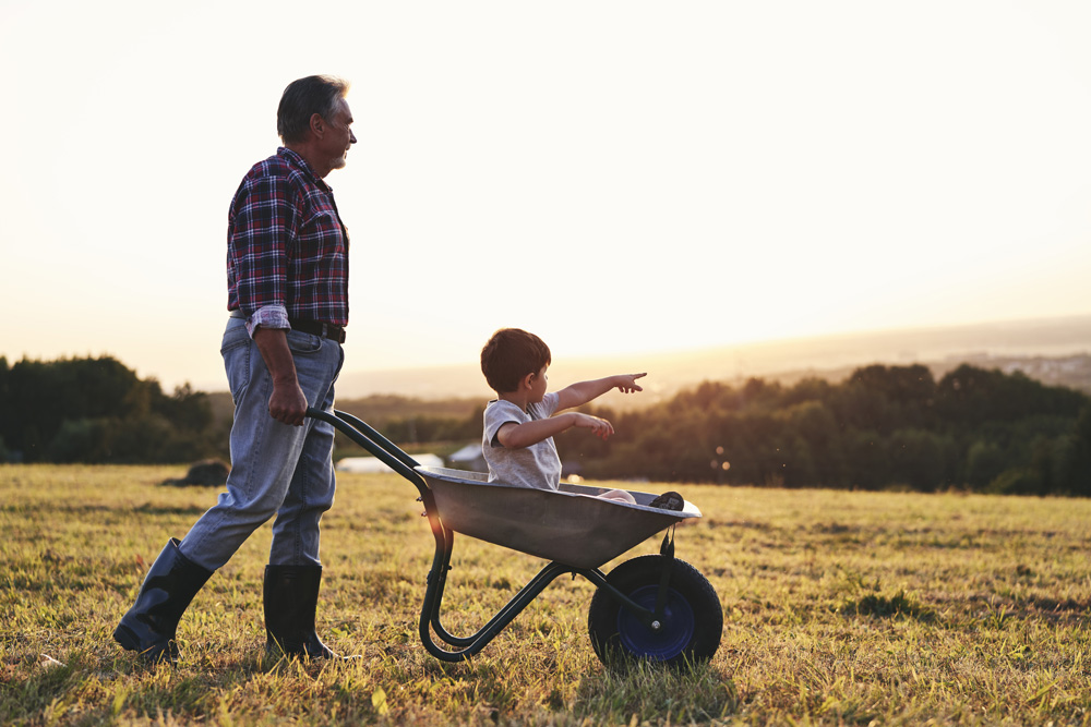 La importancia de realizar un testamento: una decisión clave para planificar el futuro